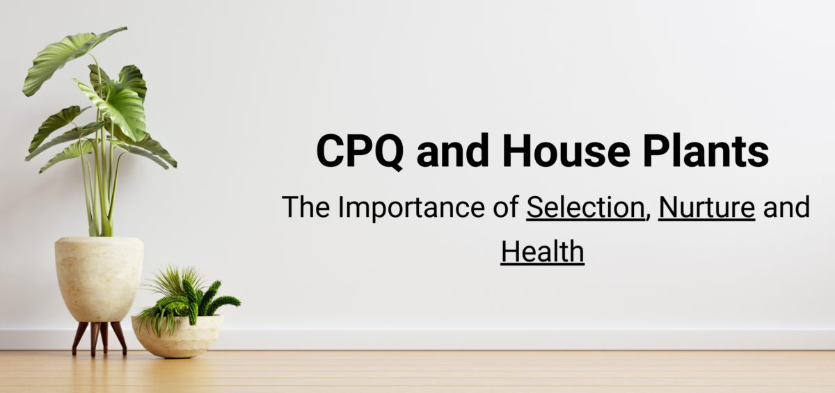 CPQ and House Plants