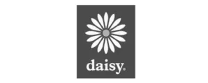 daisy-png-300x120